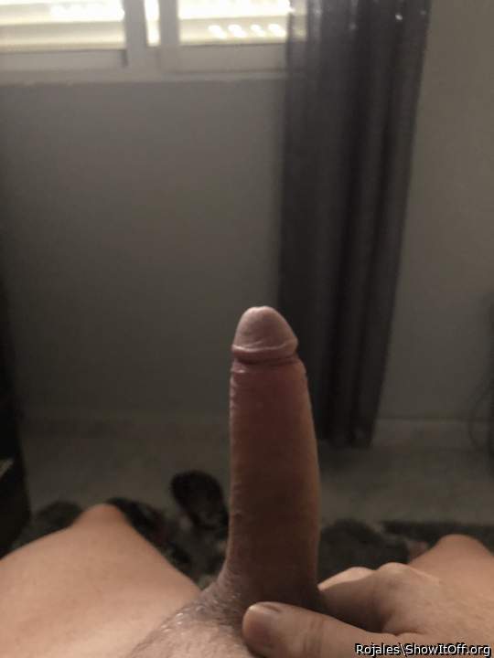 Adult image from Rojales