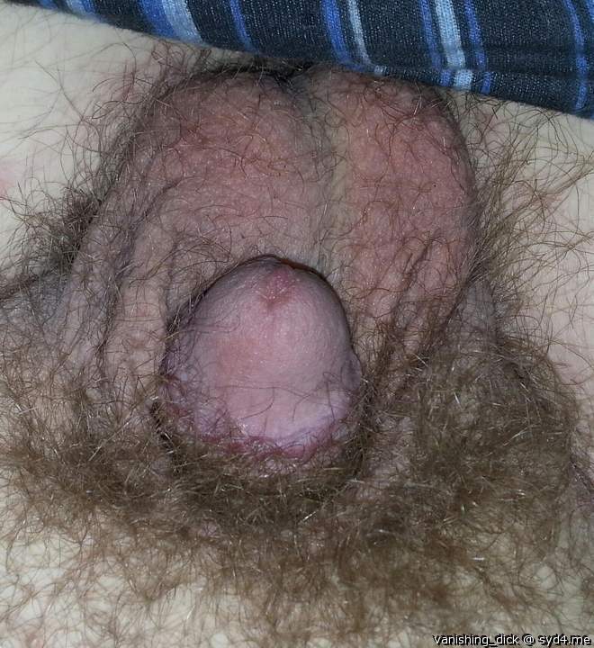 Adult image from vanishing_Dick