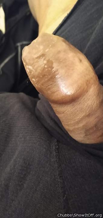 Adult image from Chubbs