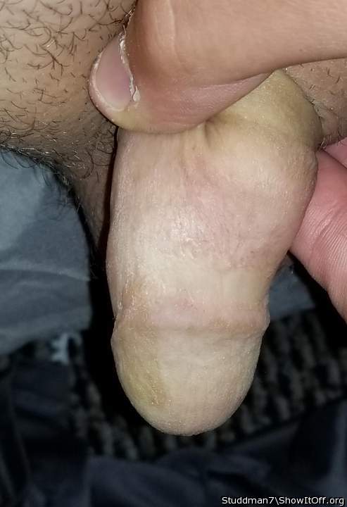 Adult image from Studdman7