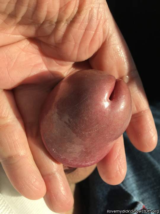 Adult image from ilovemydick