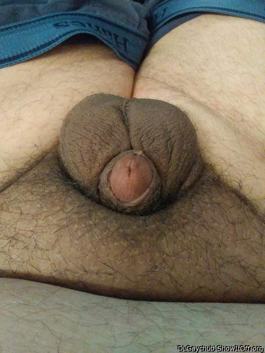 Adult image from DLGaychub