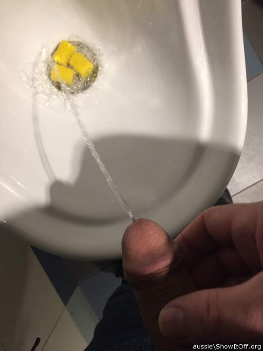 Adult image from aussie