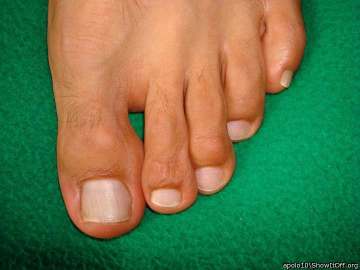 Adult image from apolo10