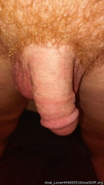 Adult image from Anal_Lover4446555