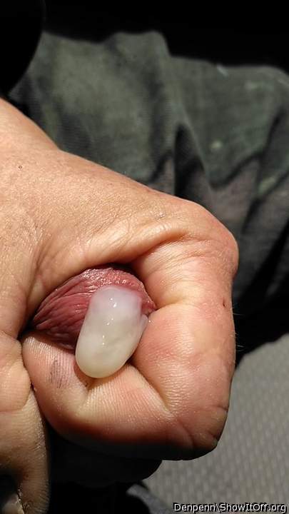 Adult image from Denpenn