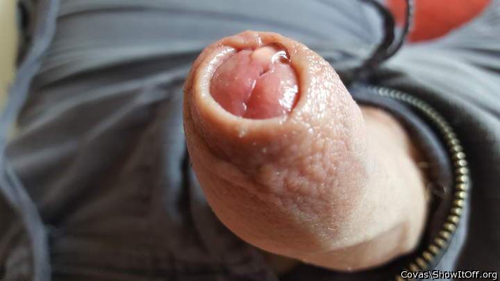 Adult image from covas