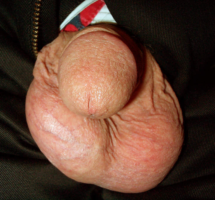 Adult image from lilsoftee