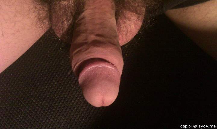 Adult image from dapiol