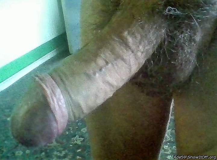 Adult image from Ade59