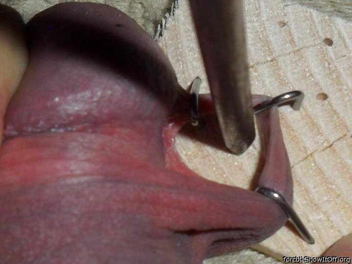 Yes! So Horny!Thats one huge piercinghole in your frenum.