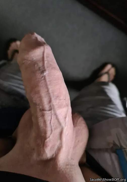 Adult image from Jaco86