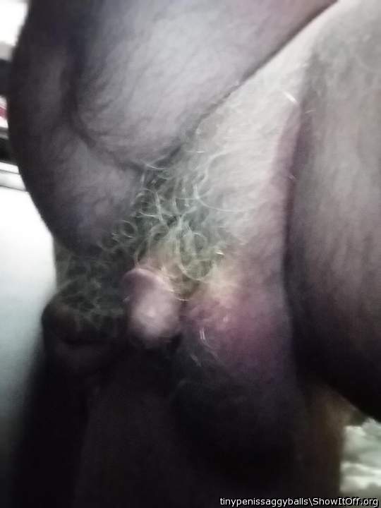 Adult image from tinypenissaggyballs