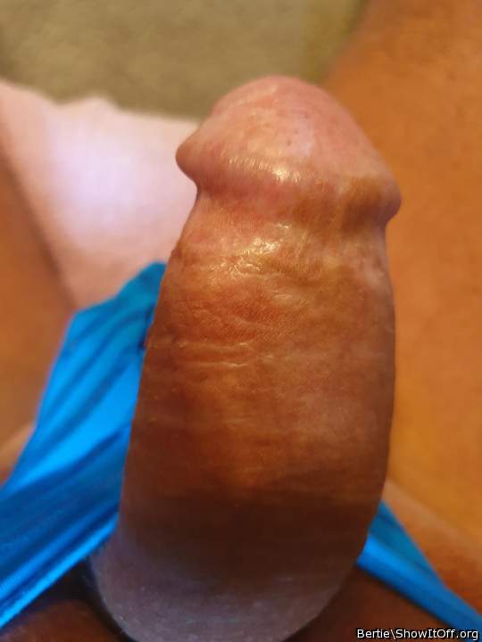 Adult image from Bertie