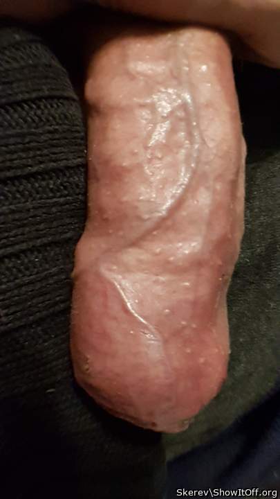 Adult image from Skerev