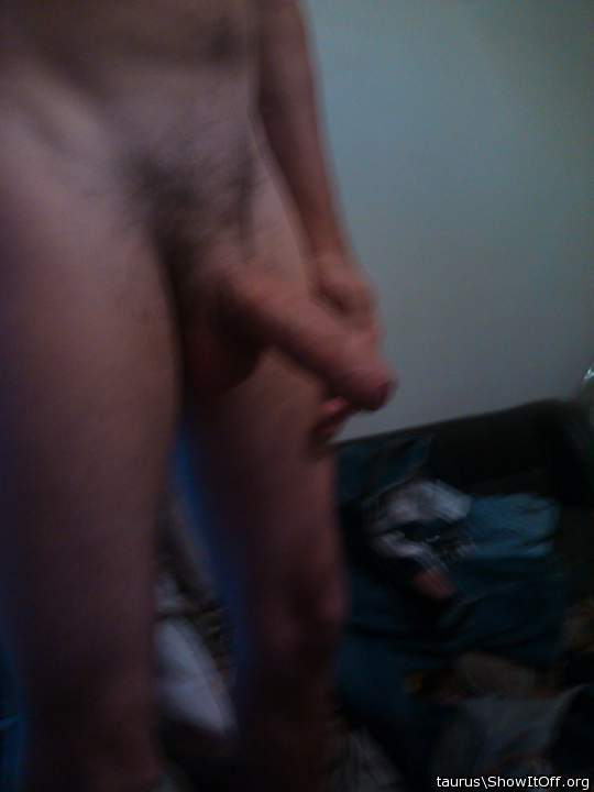 Adult image from taurus