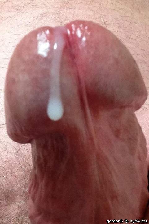 Adult image from gordon6