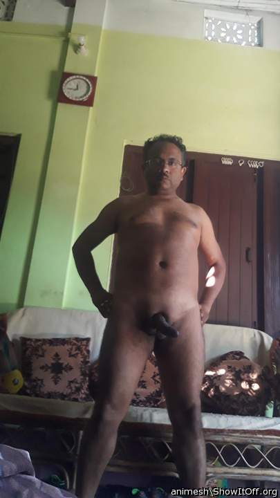Adult image from Animesh
