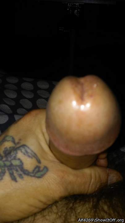 Adult image from Alf4269