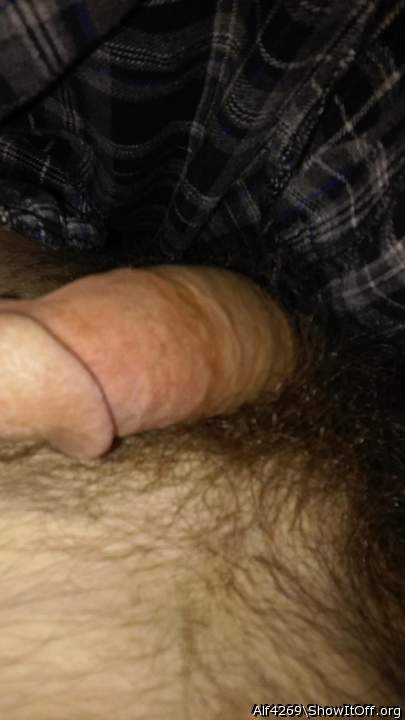 Adult image from Alf4269
