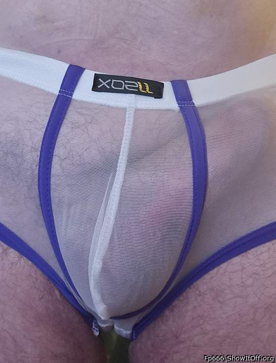 Adult image from Fp666