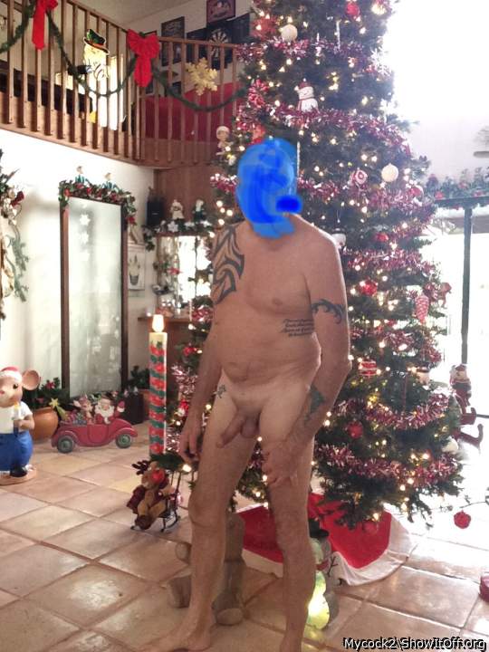 Adult image from Mycock2
