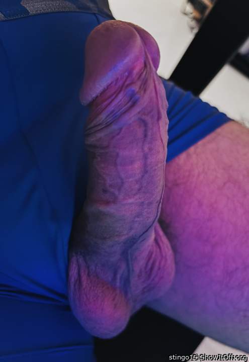 Adult image from stingo15