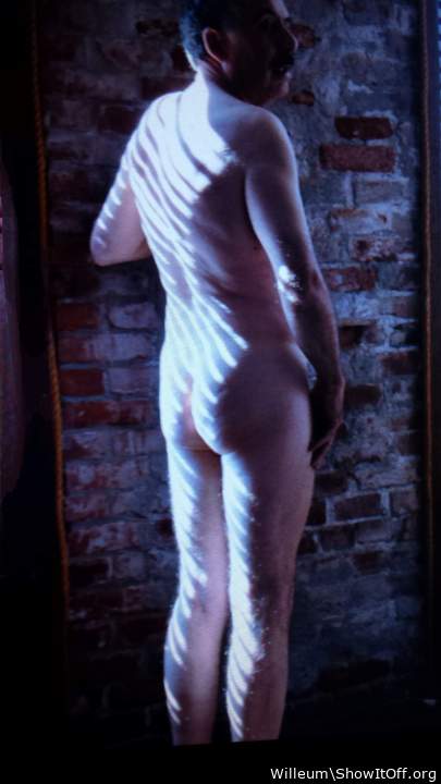 Adult image from Willeum