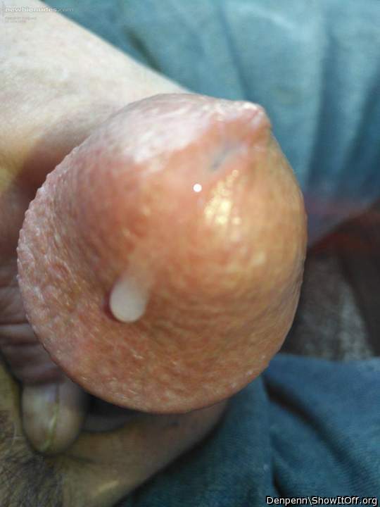 Adult image from Denpenn