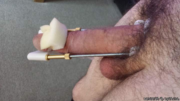 Adult image from xander69