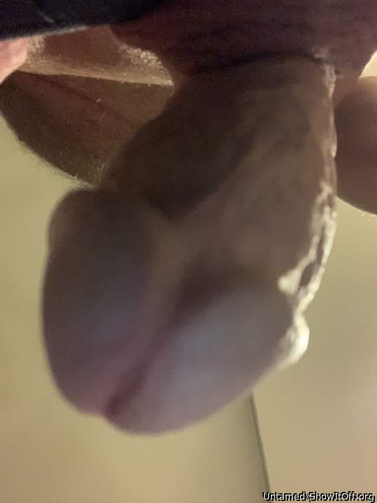 Adult image from Untamed