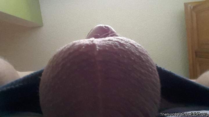Adult image from Tnelson88