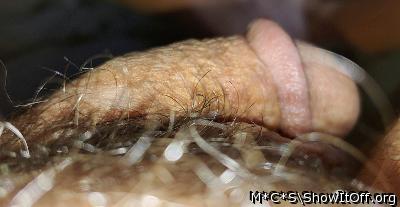 Adult image from M*C*S