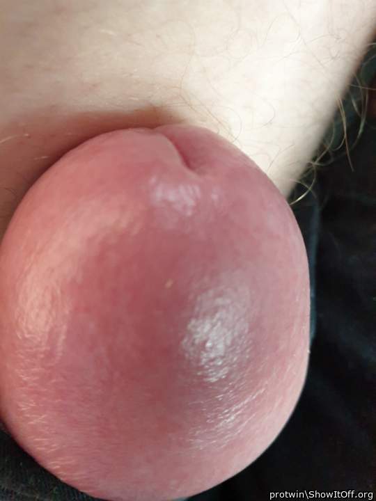 Adult image from protwin