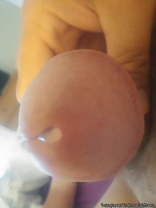 Adult image from pussylover40