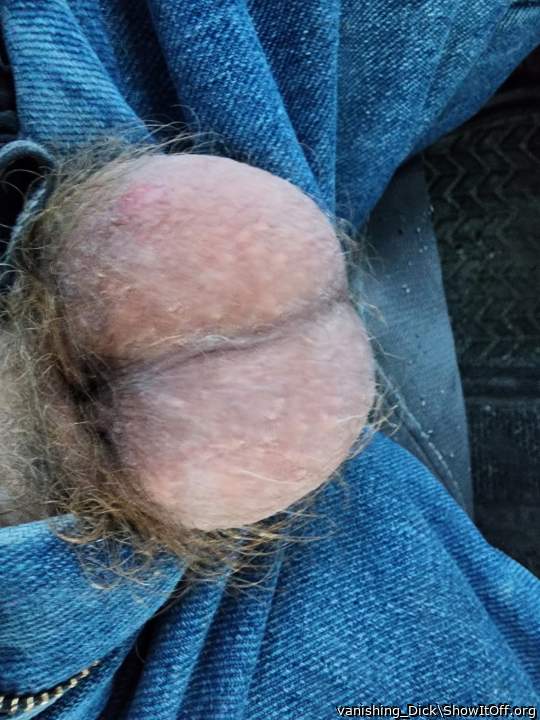 Adult image from vanishing_Dick