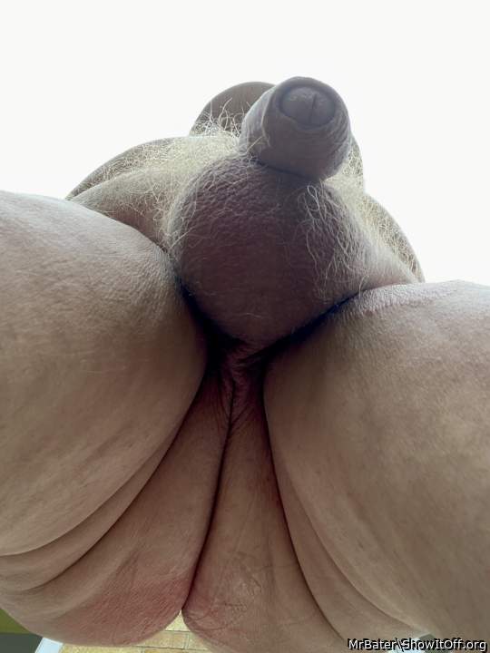 It�s warm, the Sun is out and so is my cock! Any volunteers to suck it?