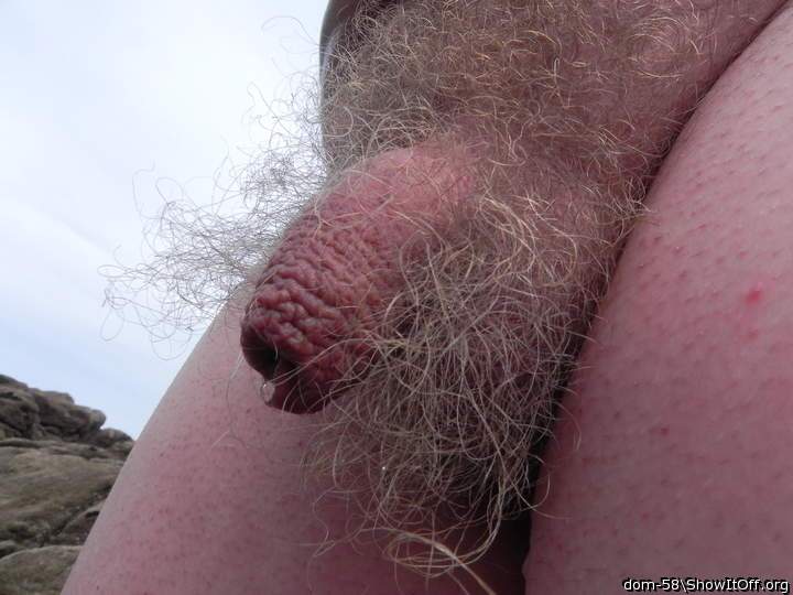 Adult image from dom-58