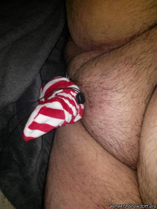 Adult image from alpha473