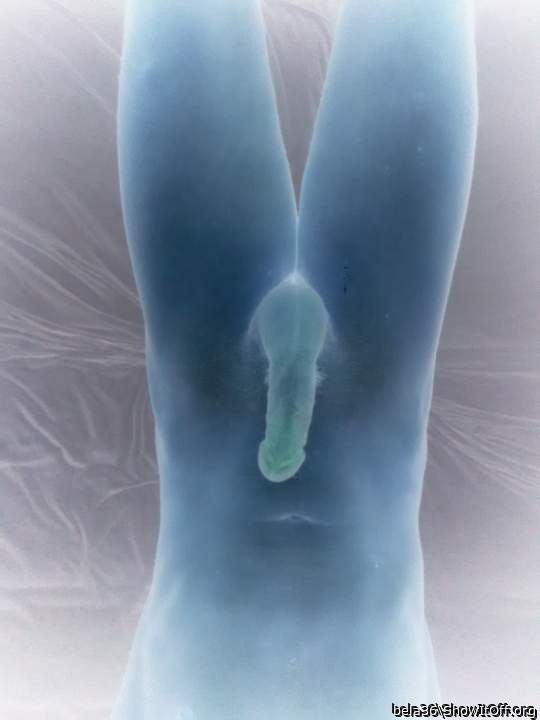 Adult image from bela36