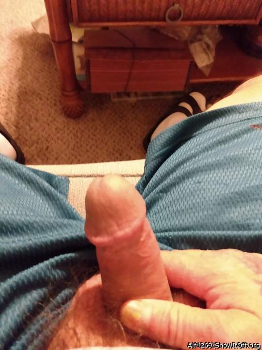 Adult image from Alf4269