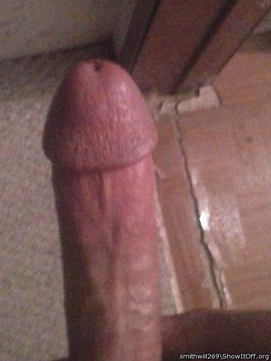 Adult image from smithwill269