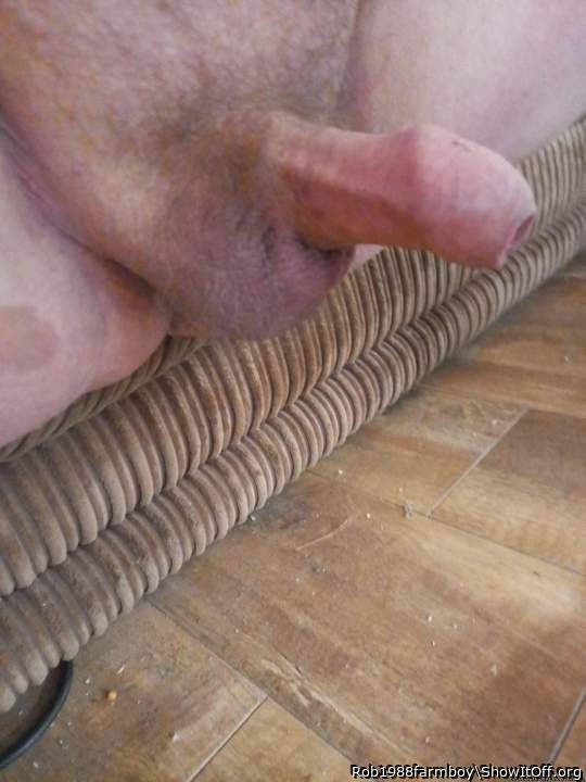 Adult image from Rob1988farmboy