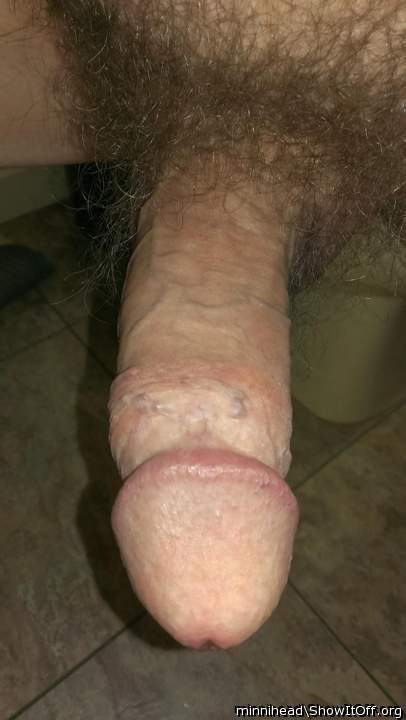 Adult image from minnihead