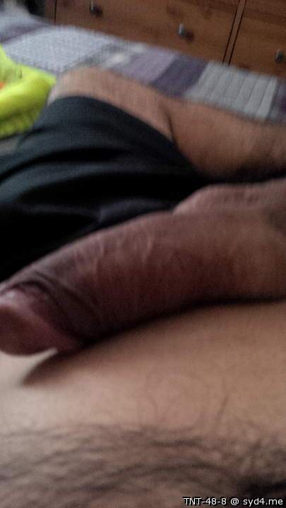 Adult image from TNT-48-8