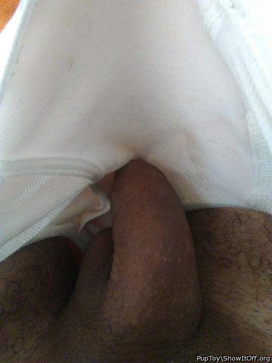 Adult image from PupToy