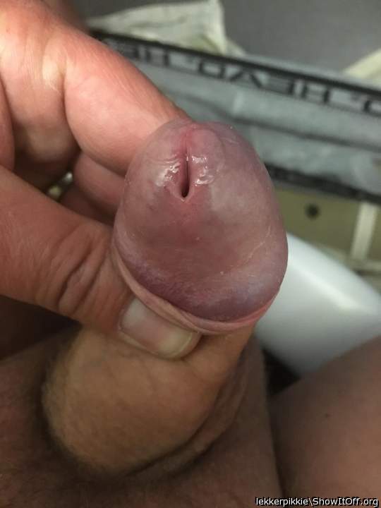 Adult image from lekkerpikkie