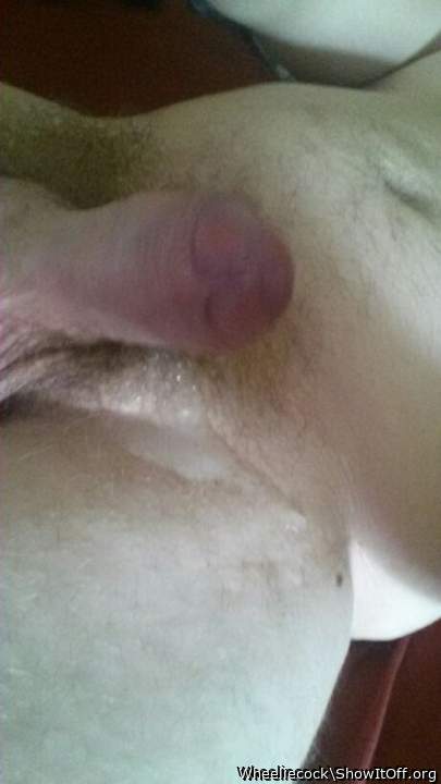 Adult image from Wheeliecock