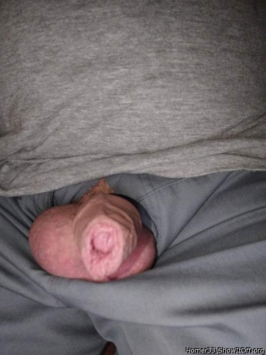 Adult image from Homer33