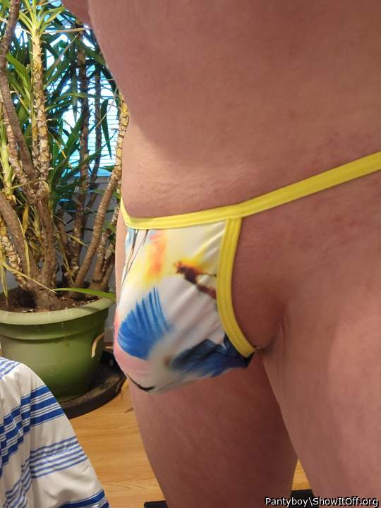 Adult image from Pantyboy